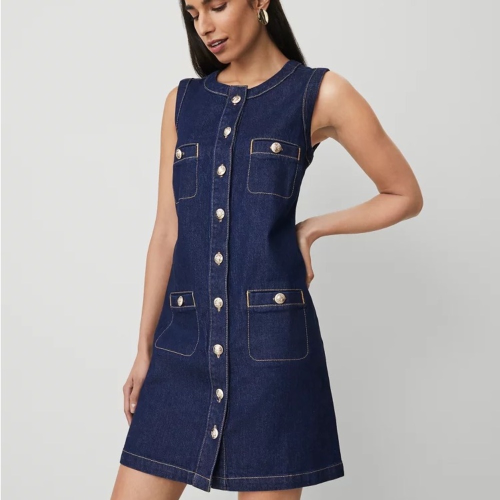 Ann Taylor Navy Sleeveless Mini Dress